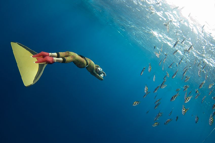 Freediving моноласта